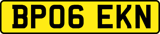 BP06EKN