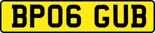 BP06GUB