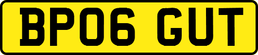 BP06GUT