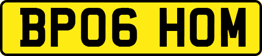 BP06HOM