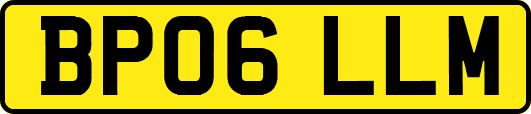 BP06LLM