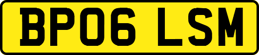 BP06LSM