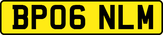 BP06NLM