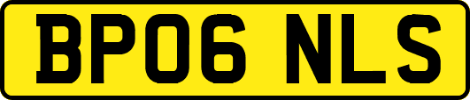 BP06NLS