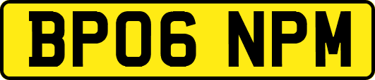 BP06NPM