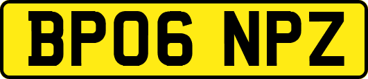 BP06NPZ
