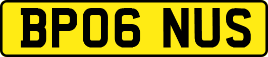 BP06NUS
