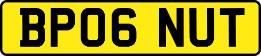 BP06NUT
