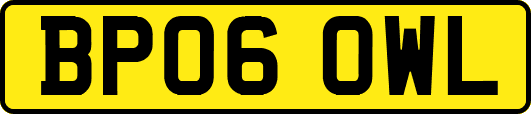 BP06OWL