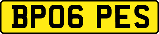 BP06PES