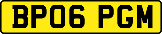 BP06PGM