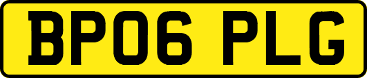 BP06PLG
