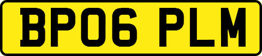 BP06PLM