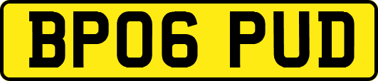 BP06PUD