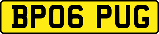 BP06PUG