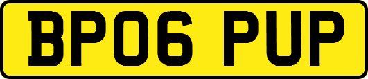 BP06PUP