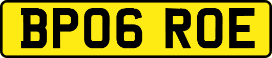 BP06ROE