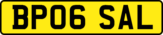 BP06SAL