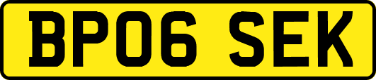 BP06SEK