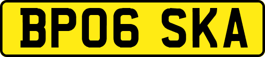 BP06SKA