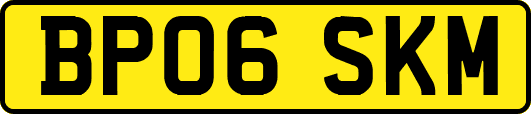 BP06SKM