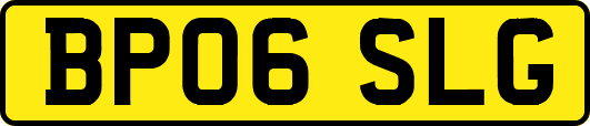BP06SLG