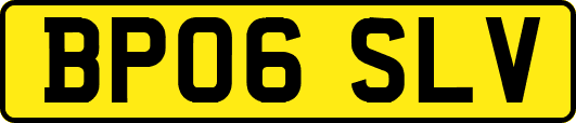 BP06SLV