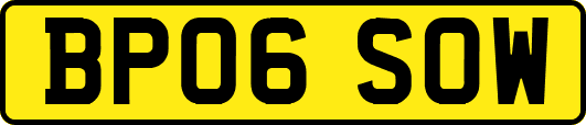 BP06SOW