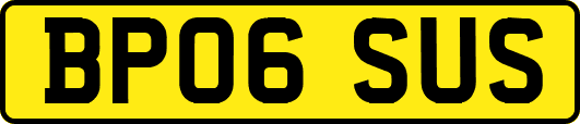 BP06SUS