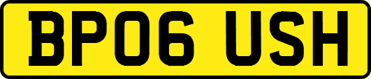 BP06USH