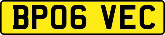 BP06VEC