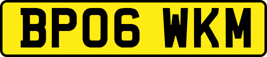 BP06WKM
