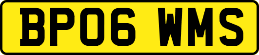 BP06WMS