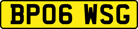 BP06WSG