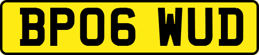 BP06WUD