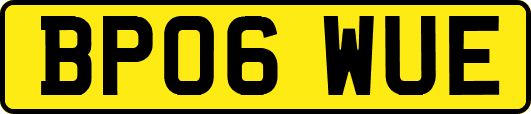 BP06WUE