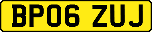 BP06ZUJ