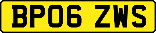 BP06ZWS