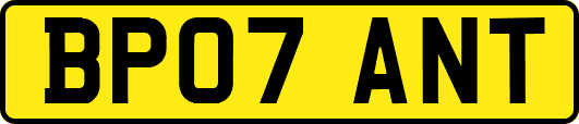 BP07ANT