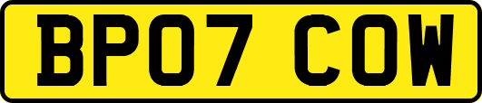 BP07COW