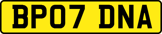 BP07DNA