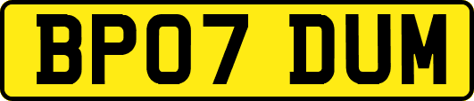 BP07DUM