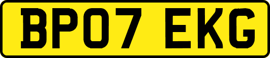BP07EKG