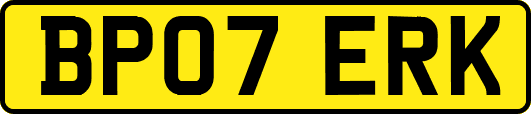 BP07ERK
