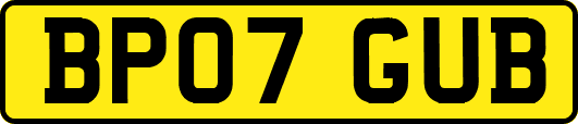 BP07GUB