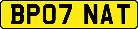 BP07NAT