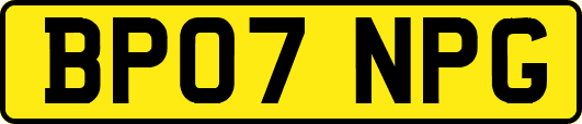 BP07NPG