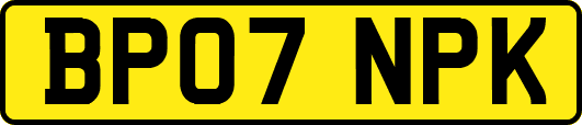 BP07NPK