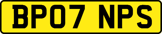 BP07NPS