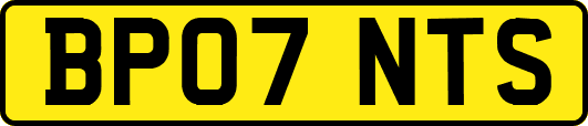 BP07NTS